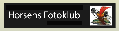 Horsens fotoklub test